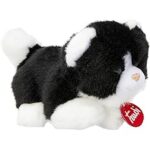 Trudino Gatto Bianco