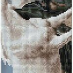 *Diamond Dotz Horse Play