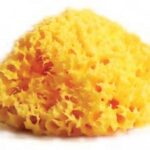 Dermacotone Spugna Marina Naturale