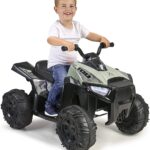 Quad Boxer 12V Feber