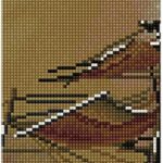 Diamond Dotz Evening Journey