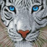 *Diamond Dotz White Magic