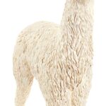 Schleich - Farm World - LAMA
