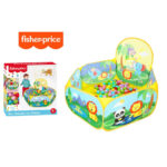 Fisher Price Box Attività con 25 Palline