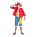 One Piece Costume Luffy