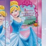 Cenerentola Cartella portadisegni