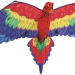 Aquilone Cora Gunther