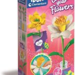Clementoni Idea - Crea i tuoi Fiori - Narciso