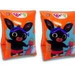 Bing Braccioli Primi Tuffi