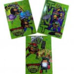 Turtles Quaderno Maxi Rig.5 MM