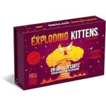 Exploding Kittens Party Pack (new version)