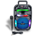 Bontempi Cassa Wireless con Microfono Dinamico
