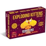 Exploding Kittens Party Pack (new version)