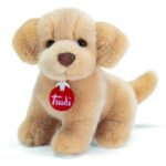 Trudino Labrador