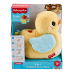 Fisher Price Paperella Coccola e Gattona 4 in 1